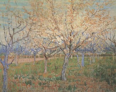 Vincent Van Gogh Orchard with Blossoming Apricot Trees (nn04)_ oil painting image